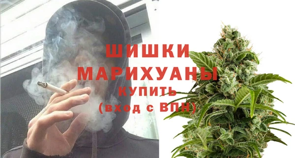 ГАЛЛЮЦИНОГЕННЫЕ ГРИБЫ Покров