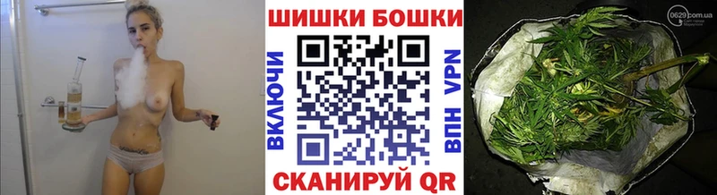 Каннабис сатива  Онега 